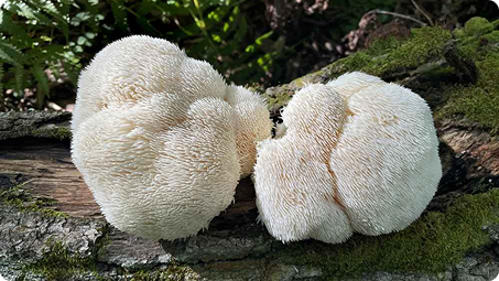 A simple weekly reset