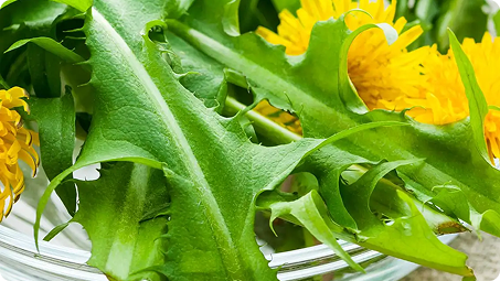 A calmer way to start the day