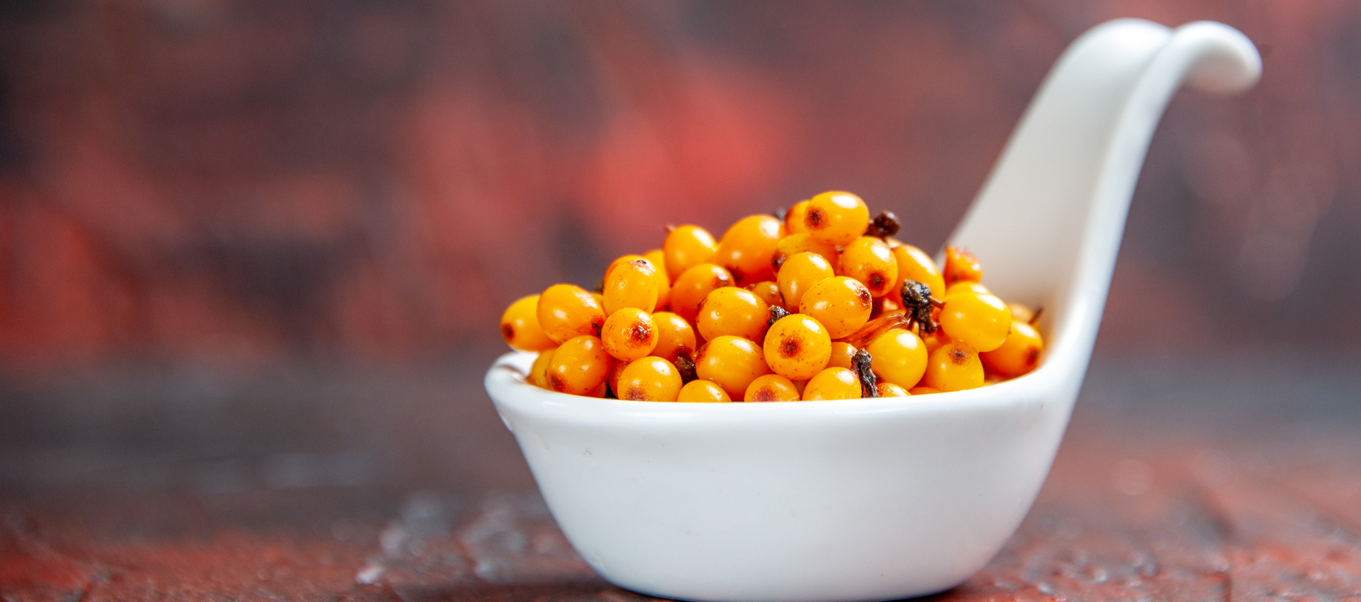 <h2>Calm, Practical Wellness For Modern Life.</h2><h2></h2>